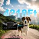 thumbnail image 4 of Collar de adiestramiento para perros DEIREG, rango de 4218 pies, 3 modos de entrenamiento, 4 of 7