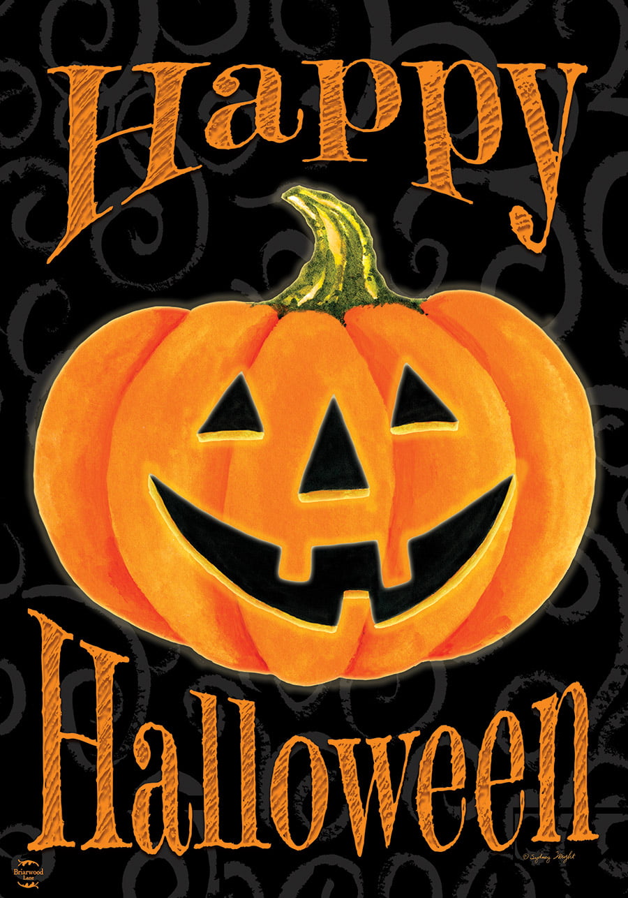 Details about   Black Cat Halloween Hat House Flag Jack O'Lantern Spooky 28"x40" Briarwood Lane 