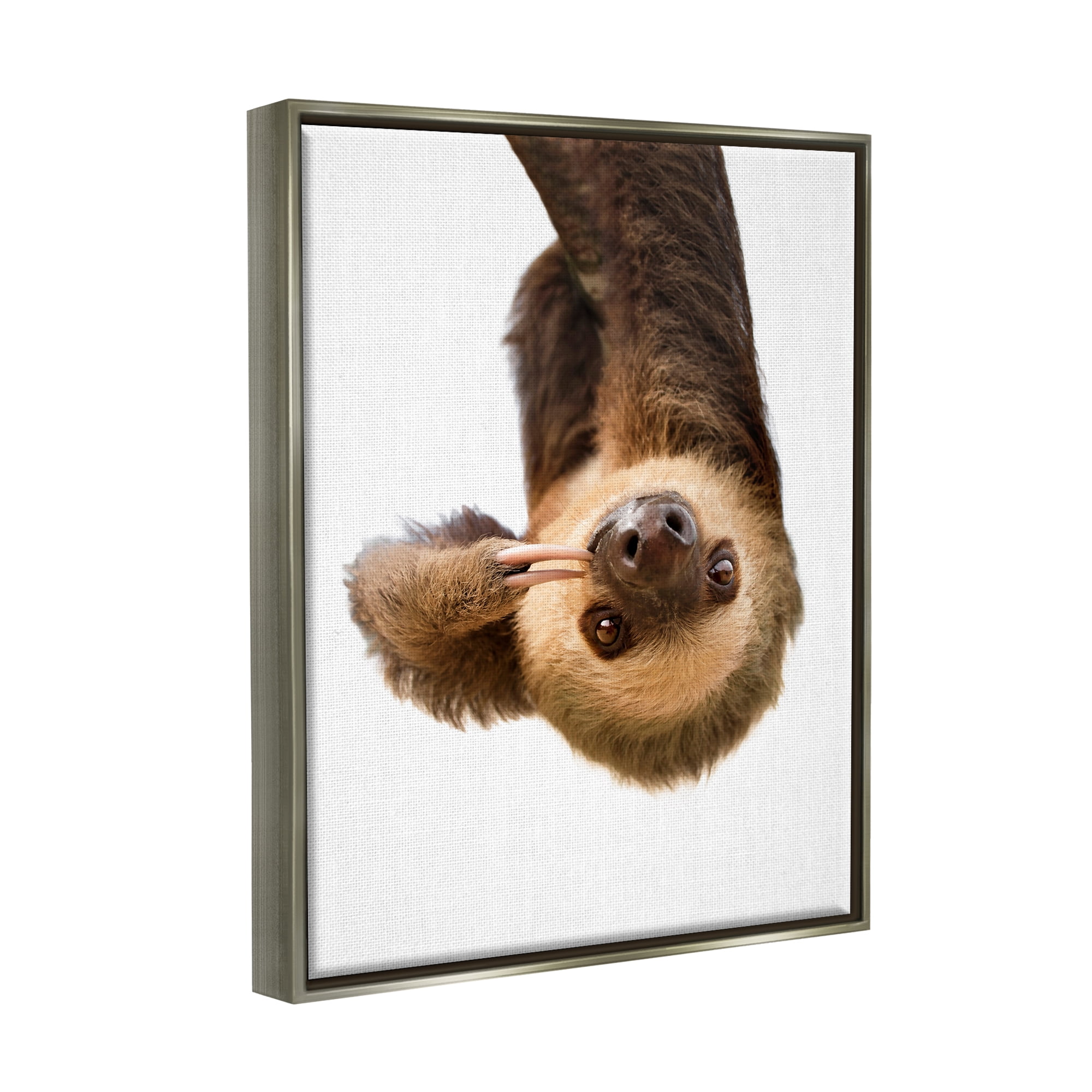 Stupell Industries Upside-down Sloth Portrait Animals & Insects Painting Gray Floater Framed Art Print Wall Art, 17 x 21