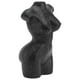 thumbnail image 1 of Decorative Vases For Desktop 1Pcs Elegant Lifestyle Black Resin Craft Ideal For Dining Table And Tearoom Decor, 1 of 3