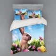 thumbnail image 2 of Ambesonne Easter Bedding Set 3 Pcs, Eggs and Fluffy Bunny, Twin XL, Multicolor, 2 of 3