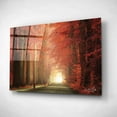 thumbnail image 2 of Epic Art 'Way to Red' by Martin Podt, Acrylic Glass Wall Art, 16"x12", 2 of 3