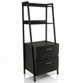 thumbnail image 4 of Frost 2-Drawer and 2-Shelf Wood File Cabinet, Reclaimed Black Oak, 4 of 9