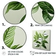 thumbnail image 3 of Designart "Serenity In Fresh Mint Minimalism Leaves III" Leaves Floater Framed Canvas Wall Art, 3 of 5
