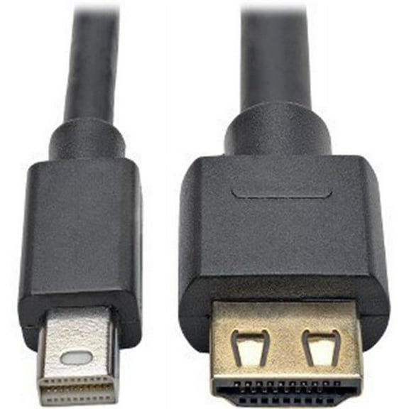 10 ft. 1.2A HDMI Mini Display Port 2.0 Active Adapter Cable