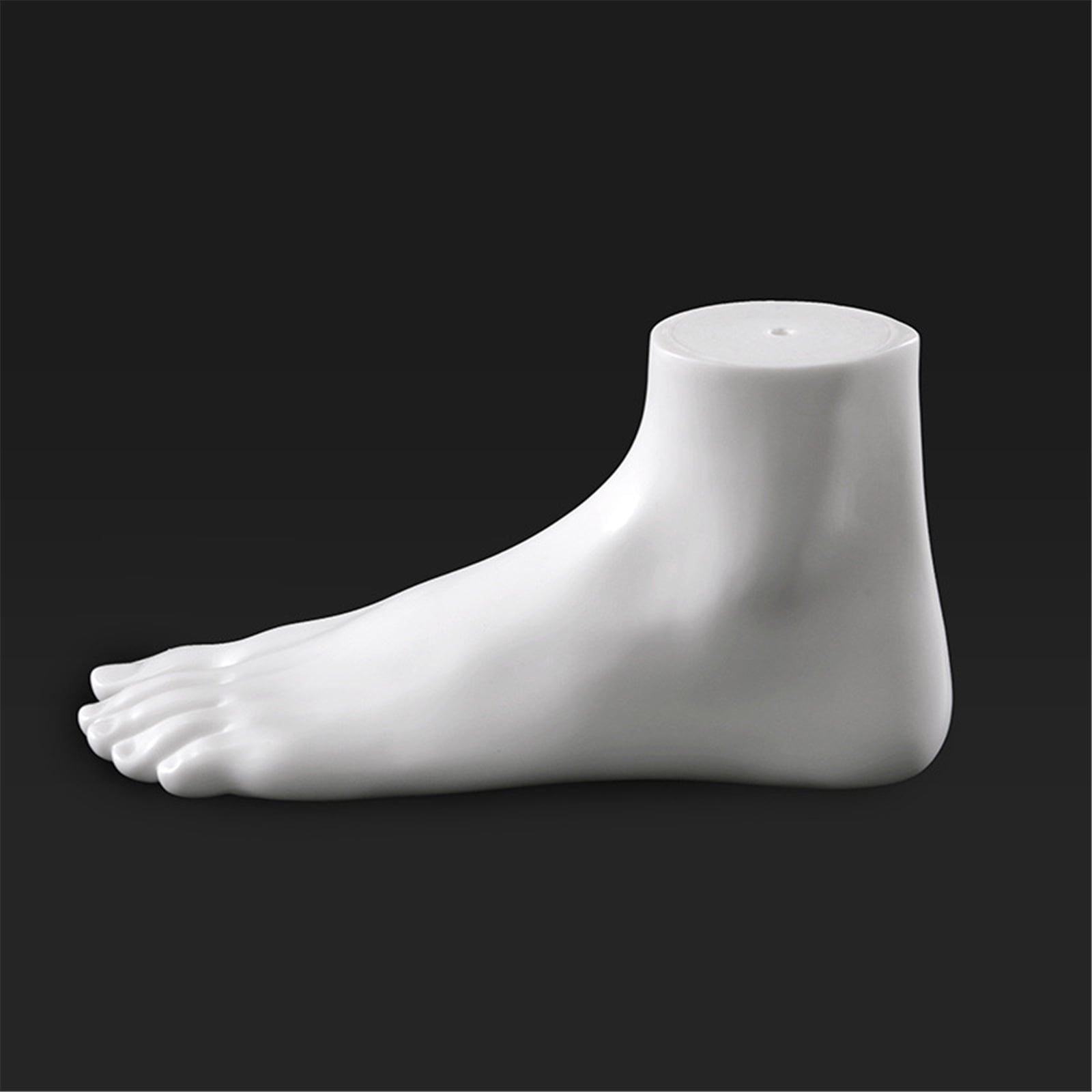 Pack of 2 Professional PVC Foot Mannequin Shoe Exhibition Foot Model for Footwear Presentation Academic Demonstration