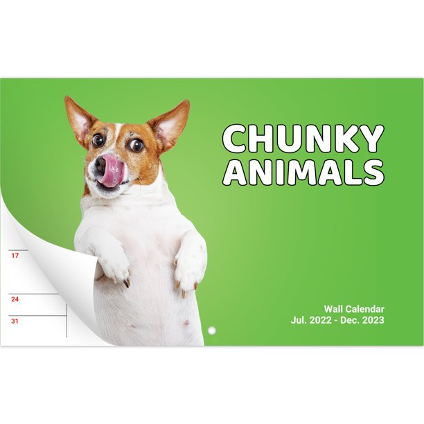 eucatus-2022-2023-mini-animal-calendar-funny-18-month-calendars-6-walmart-com