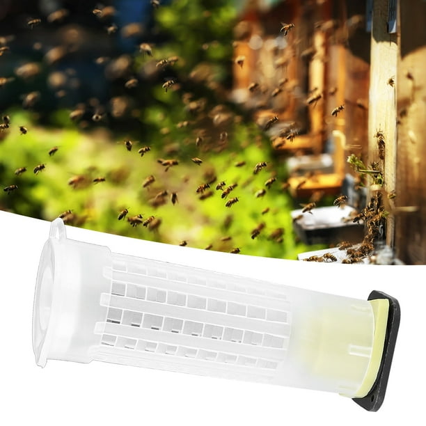 Jaula para reina, herramienta de apicultura de abeja reina de plástico de 15 piezas, jaula para reina de abeja, la mejor de su clase Jadeshay A