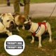 thumbnail image 4 of 2 Pairs Dog Harness Stickers Vest Patches Reflective Dog Harness Patches, 4 of 4