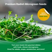 Organo Republic 50,000+ Radish Sprouting & Microgreens Seeds 1lb, Non-GMO Heirloom Sprout Seeds Kit
