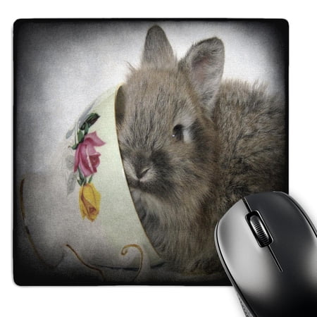 3dRose  Lionhead Bunny in a Teacup  MousePad price history on PriceWatchPro