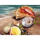 thumbnail image 1 of Pintura de diamante (DE8051) 5D DIY Square Beach Conch Home Decor Art Craft 30x40cm Hugtrwg Para estrenar, 1 of 1
