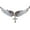 Color-Changing Silver, variant on Angel Wing Cross Adjustable Choker Necklace for Women 18" + 2" Biker Jewelry