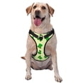 thumbnail image 1 of Cauagu Harnais Réfléchissant pour Chien Motif de la Saint-Patrick, Gilet de Marche Ajustable Anti-Étouffement pour Petits, Moyens et Grands Chiens - Très Grand, 1 of 6