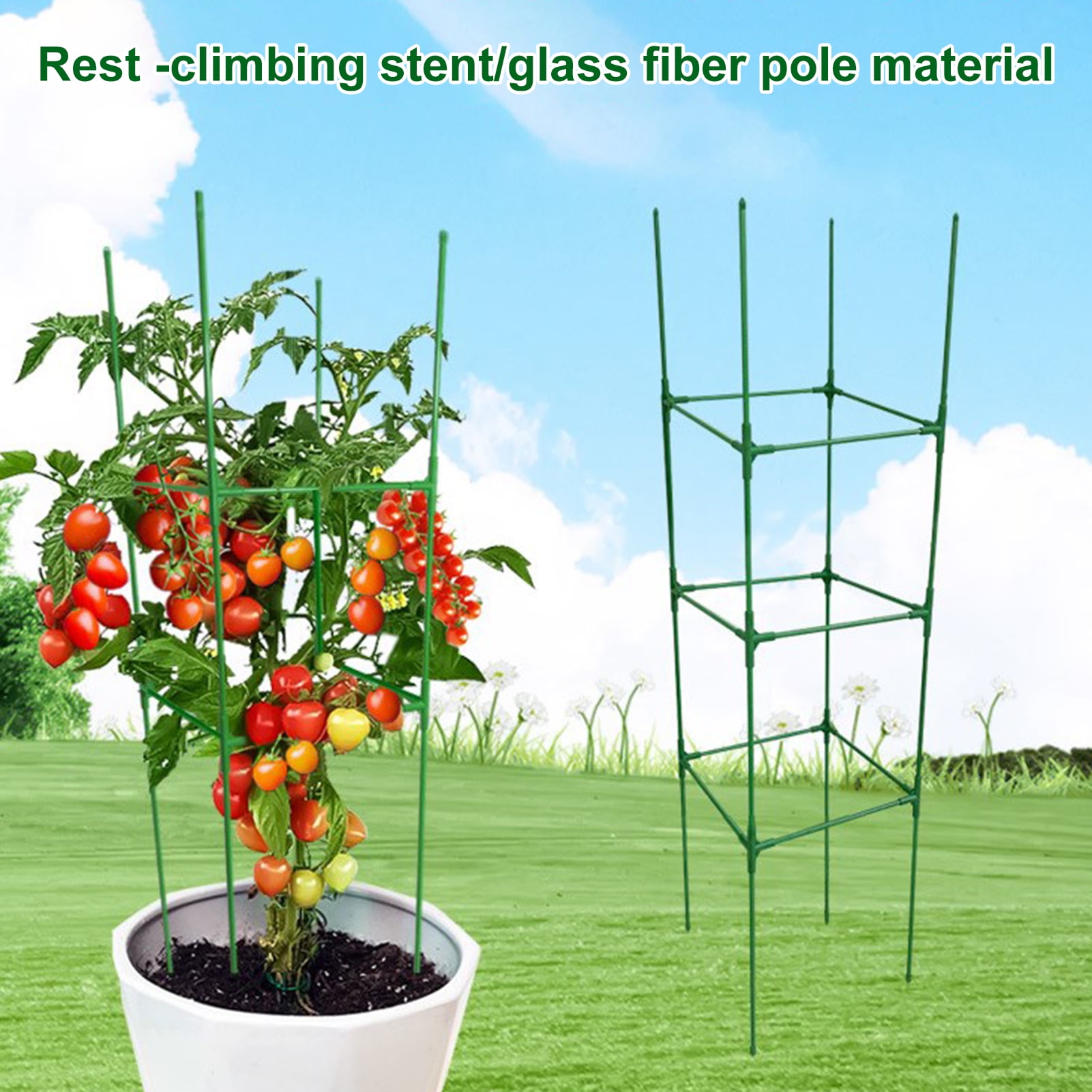 AYYUFE 1 Set Tomato Cage Height Adjustable Easy to Assemble Vertical Climbing Plants Vegetable Trellis Flowers Plant Support Tomato Support Garden Trellis