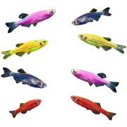 GloFish® Danio 8ct Live Fish Assortment
