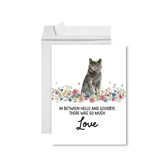 Koyal Wholesale Jumbo Pet Sympathy Card with Envelope, British Shorthair Cat, Cat Grief Bereavement Card 1-Pk