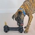 thumbnail image 2 of Extreme Goodie Bone Most Durable Natural Rubber Dog Bone for Power Chewers - Black - for Extra Large Dogs, 2 of 7