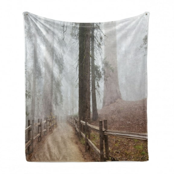 Yosemite Soft Flannel Fleece Throw Blanket, Evergreen Forest and Walkway in Sequoia National Park Foggy Morning Nature Art, Cozy Plush for Indoor and Outdoor Use, 50" x 70", Grey Brown, by Ambesonne