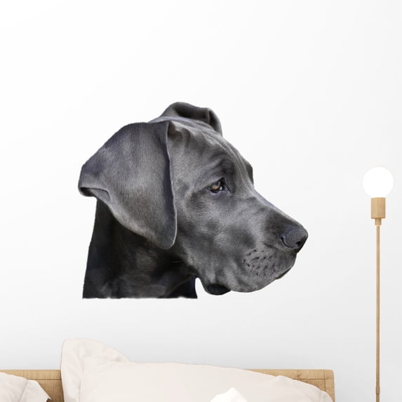 Young Great Dane Wall Mural Decal by Wallmonkeys Vinyl Peel and Stick Graphic (18 in W x 15 in H)