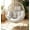 White Rattan Gray Cushion, variant on Walsunny Egg Chairs Outdoor Patio Wicker Oversized Egg Shell Lounger Lawn Chair with Cushion for Indoor Outside Porch Balcony Backyard,Original Wood Color Rattan Beige Cushion