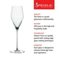 thumbnail image 3 of Spiegelau Definition 9 oz Champagne Glass (set of 2), 3 of 7
