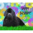 thumbnail image 2 of CafePress - Newfoundland Dog Birthday Card Mousepad - Non-slip Rubber Mousepad, Gaming Mouse Pad, 2 of 5