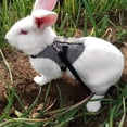 thumbnail image 1 of Rabbits Harness and Leash Set Gentlemanly Style Bunny Vest with Button Decor Small Animal Adjustable Soft Harness, 1 of 4