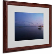 Trademark Fine Art "Pure Elegance" Canvas Art by Monica Fleet, White Matte, Wood Frame