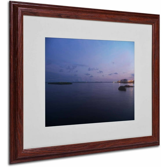 Trademark Fine Art "Pure Elegance" Canvas Art by Monica Fleet, White Matte, Wood Frame