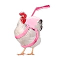 thumbnail image 2 of Chicken Leashes and Harnesses Set, Adjustable Duck Leash with Elastic Breathable Pet Harness, Chicken Vest for Goose Duck Cat Hen Training Walking Strap Traction Rope, 2 of 5