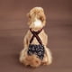 thumbnail image 2 of Pantalones fisiológicos ajustables para perros grandes con arnés, de poliéster transpirable, para uso en interiores y exteriores, cómodos, lavables y reutilizables., 2 of 6