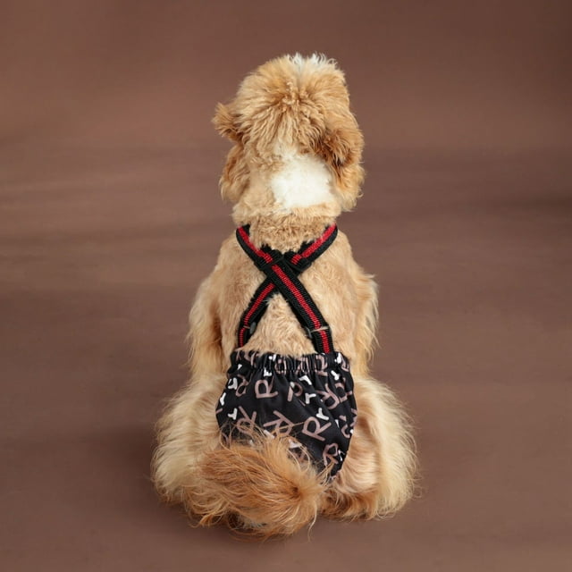 Chien pour Grands Chiens Pantalon Ajustable avec Harnais Polyester Respirant Usage Intérieur Extérieur Confortable Lavable Réutilisable Chiens Mâles Bijoux pour Animaux Mâles pour Fille Chiens Chat Jetable