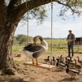 thumbnail image 5 of Interactive Poultry Toy for Birds to Encourage Exercise and Mental Stimulation with Wagging Motion for Home and Farm Use, 5 of 5