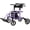 Purple, variant on WalkMate 2 in 1 Rollator Walker Transport Chair for Seniors, 10'' Wheels Medical Rollator for Seniors with Paded Seat Backrest, Adjustable Handle and Detachable Footrests, Purple