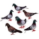 thumbnail image 1 of 6 uds. De s artificiale adorno de simulación, pájaros falsos de espuma para boda 6PCS Gloria Aves de manualidades con plumas, 1 of 6