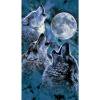 thumbnail image 1 of Wdftyju 5D DIY taladro redondo completo diamante pintura Luna Lobo mosaico Rhinestone arte dibujo Wdftyju 6up0mn5fk8lh7wz3, 1 of 9