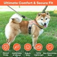 thumbnail image 2 of DAMAI Breathable No-Pull Dog Harness with Reflective Leash Set, Soft Cationic Mesh Vest for Small Dogs, Easy On/Off, Adjustable Fit, All-Season Comfort(Orange, XS (Chest 11–13 in/Weight 4–11 lb)), 2 of 6