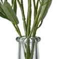 thumbnail image 5 of Elements Artificial Olive Branch Arrangement in Clear Glass Vase, Realistic Look and Feel, 5 of 7