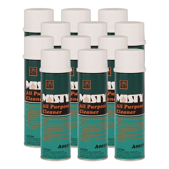 19 oz. Aerosol Spray All-Purpose Cleaner - Mint Scent (12/Carton)