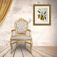 thumbnail image 3 of Van Nooten, Madame  12x14 Gold Ornate Wood Framed with Double Matting Museum Art Print Titled - Mangosteen, 3 of 4