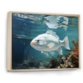 thumbnail image 2 of Designart "Serenity on the Fishing Seas II" Animals Floater Framed Wall Art Living Room, 2 of 7