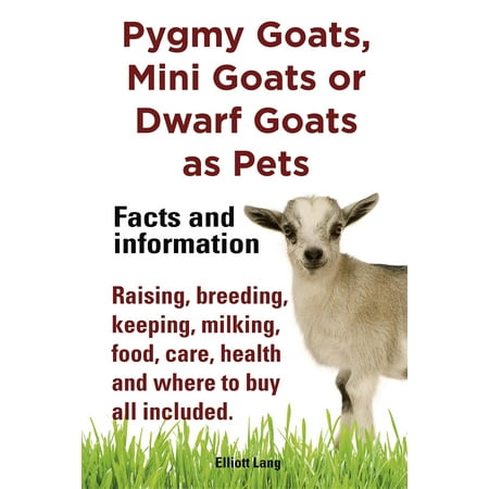 Pygmy Goats as Pets. Pygmy Goats, Mini Goats or Dwarf Goats -