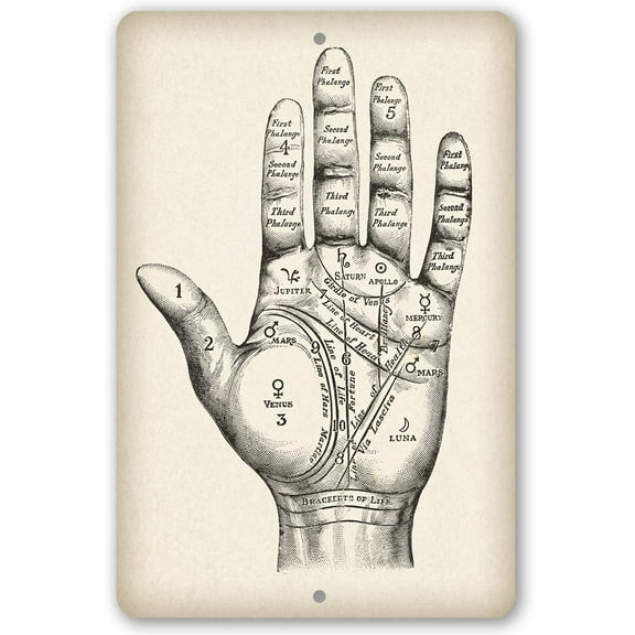 Metal Sign - Vintage Palm Reading - Durable Metal Sign - Use Indoor/Outdoor - Makes Great Decor and Gift for Fans of Palmistry and Astrology Under $25 (12" x 18")