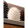thumbnail image 2 of Pavilion Gift Company White 4.25 Inch Pinecone LED-Lit Battery Operated Realistic Flame Candle Made from Real Wax, 2 of 8