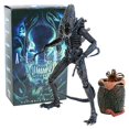 thumbnail image 1 of NECA Alien Warrior figurita Ultimate Edition modelo marrón/azul figura de acción colección de regaloscaja del guerrero azul zhangmengya unisex, 1 of 2