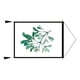 thumbnail image 3 of Planta verde decoración pintura hoja lienzo arte cartel foto fondo tela impresión pared imagen decoración del hogar tipo 16 Vogacara HA8759-06B, 3 of 6