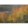 thumbnail image 2 of Grall, Don 18x13 Black Ornate Wood Framed with Double Matting Museum Art Print Titled - CO, Gunnison NF Aspen grove at peak autumn color, 2 of 4