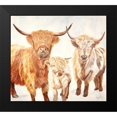 thumbnail image 2 of Fifer, Diane 22x20 Black Modern Framed Museum Art Print Titled - Hairy Highland Cattle, 2 of 5