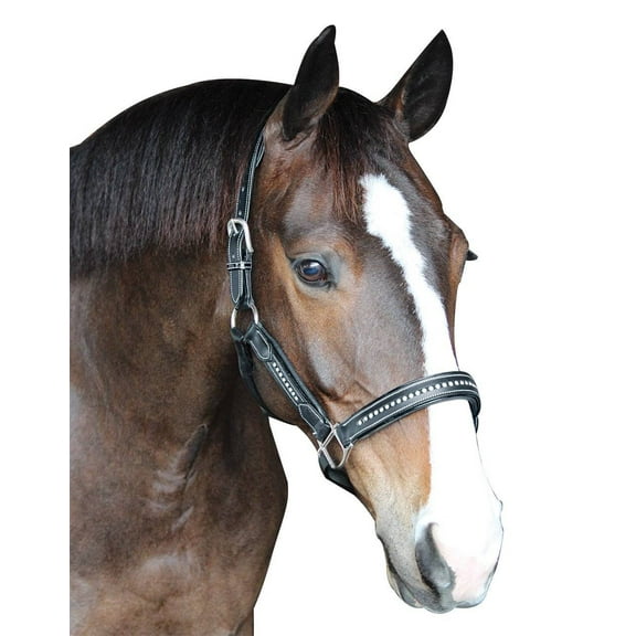 Henri de Rivel Padded Crystal Halter - Australian Nut - Cob